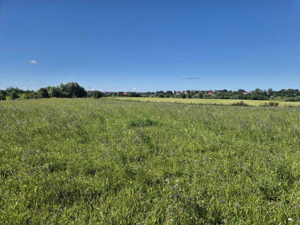 20260812_100451