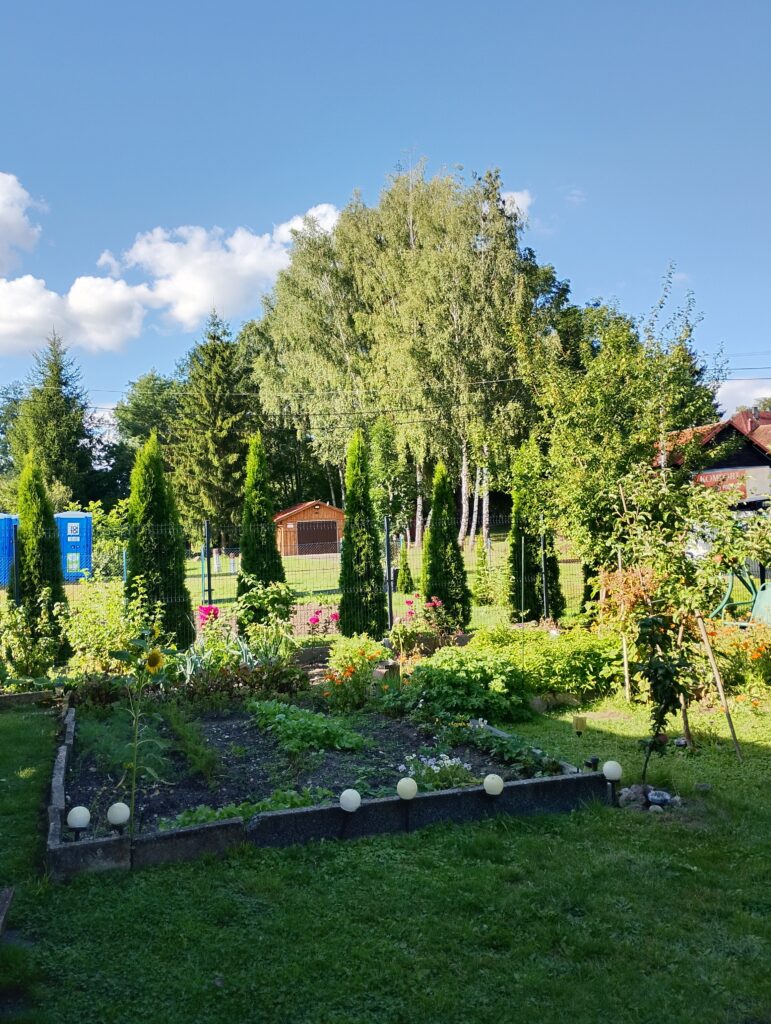IMG_20250819_163046_hdr